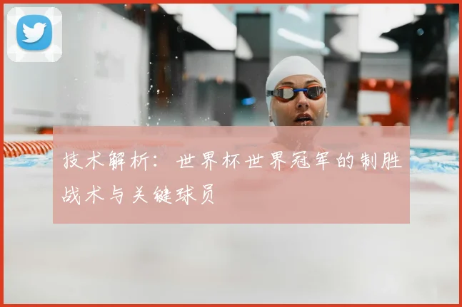 技术解析:世界杯世界冠军的制胜战术与关键球员
