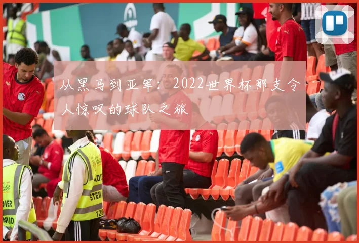从黑马到亚军：2022世界杯那支令人惊叹的球队之旅