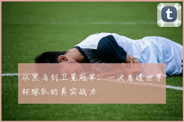 从黑马到卫冕冠军：一次看透世界杯球队的真实战力